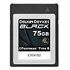 DELKIN DEVICES Black CFexpress Type B Memory Card, 75GB