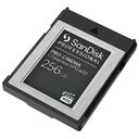 SANDISK PROFESSIONAL Pro-Cinema CFexpress VPG400 Type B, 256GB (SDPCVN4-256G-GNANN)