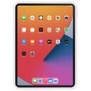 IPORT Connect Pro Case 11, White