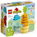 LEGO Duplo - Growing Carrot (10981)