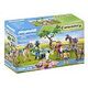 PLAYMOBIL Picnic Outing with Horses (71239)