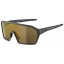 ALPINA RAM Q-Lite Sportbrille, Dunkelgrau / Gold (A8673021)