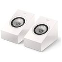 KEF R8 Meta, Weiss Glanz