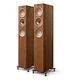 KEF R5 Meta, Walnut