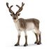 SCHLEICH Wild Life - Reindeer (14837)