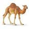 SCHLEICH Wild Life - Dromedary (14832)