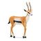 SCHLEICH Wild Life - Thomson Gazelle (14861)