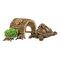 SCHLEICH Wild Life - Home for Turtles (42506)