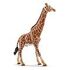 SCHLEICH Wild Life - Bull Giraffe (14749)