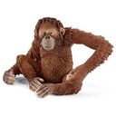 SCHLEICH Wild Life - Orangutan Female (14775)