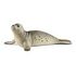 SCHLEICH Wild Life - Seal (14801)