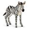 SCHLEICH Wild Life - Zebra Foal (14811)