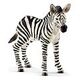 SCHLEICH Wild Life - Zebra Fohlen (14811)