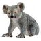 SCHLEICH Wild Life - Koala Bear (14815)