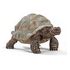 SCHLEICH Wild Life - Giant Tortoise (14824)