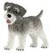 SCHLEICH Farm World - Miniature Schnauzer (13892)