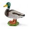 SCHLEICH Farm World - Drake (13824)