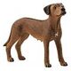 SCHLEICH Farm World - Rhodesian Ridgeback (13895)