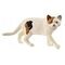 SCHLEICH Farm World - American Shorthair Cat (13894)
