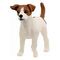 SCHLEICH Farm World - Jack Russell Terrier (13916)