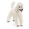 SCHLEICH Farm World - Poodle (13917)