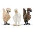 SCHLEICH Farm World - Chicken Friends (42574)