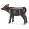 SCHLEICH Farm World - Black Angus Calf (13768)