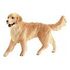 SCHLEICH Farm World - Golden Retriever Hündin (16395)