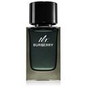 BURBERRY Mr. Burberry Eau de Parfum Spray 100 ml