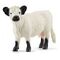 SCHLEICH Spielzeugfigur Farm World Galloway Rind