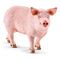SCHLEICH Farm World - Pig, Standing (13782)