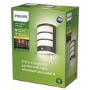 PHILIPS myGarden - Python IR Outdoor Wall Light, Anthrazit (929003188101)