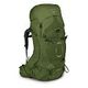 OSPREY Aether 65 L/XL, Garlic Mustard Green (1-042-GG08-LXL)