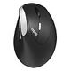 RAPOO EV250 Silent Ergonomic Wireless Mouse, Black / Silver (00215045)