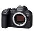 CANON EOS R6 Mark II Body (5666C004)