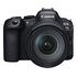 CANON EOS R6 Mark II Kit, RF 24-105mm L IS USM (5666C013)