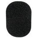 RØDE WS2 (1040.07661)