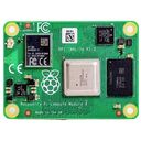 RASPBERRY Pi Compute Module 4, 1.0 GB RAM (CM4001000)