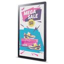 PHILIPS E-Ink 25BDL4050I