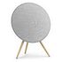 BANG & OLUFSEN Beosound A9 5th Generation, Natural Aluminium