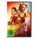 Shazam! Fury of the Gods (DVD, 2023, Z.Levi / A.Angel)