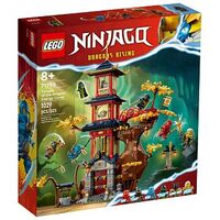 LEGO Ninjago - Tempel der Drachenpower (71795)