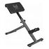 GYRONETICS Foldable Back Trainer (GN010-00064-0001)