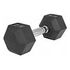 GORILLA SPORTS Hexagon Rubber Dumbbell, 8kg