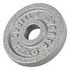 GORILLA SPORTS Iron Weight Plate, Silver, 1.25kg