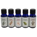 GOODSPHERE Harmony Beginners Aroma Essence (G1254)