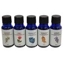 GOODSPHERE Feeling Beginners Aroma Essenz (G1253)