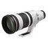 CANON RF 100-300mm F/2.8 L IS USM (6055C005)