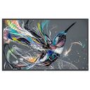 PHILIPS Q-Line 98BDL3650Q