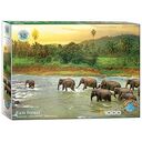EUROGRAPHICS Save Our Planet Collection - Rainforest, 1000 pieces (6000-5540)